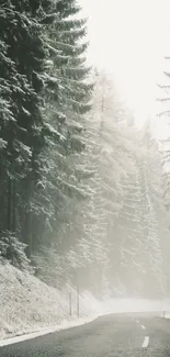 Scenic winter forest road with snow.