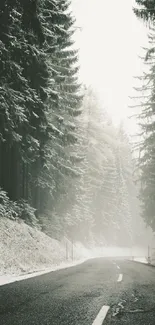 A misty winter road through a snow-covered forest.