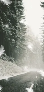 Snowy forest road with feathers and trees in winter landscape.