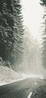 Misty forest road covered in snow with towering trees on both sides.