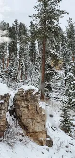 Serene winter forest with snow-laden trees on a rocky landscape.