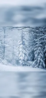 Serene winter forest covered with snow, perfect for mobile device wallpaper.