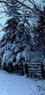 Snowy forest scene with trees and pathway in winter environment.