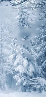 A tranquil snowy forest landscape with frosty trees under a winter sky.