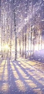 Peaceful winter forest with sunlight through snow-covered trees and raindrops.