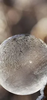 Close-up of a frosty bubble with intricate patterns against a blurred background.