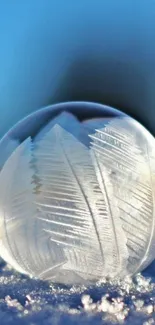 Frosty bubble on snowy ground under a blue sky.