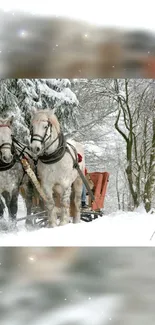 Two horses pulling a sled through a snowy forest in winter.