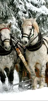 Two horses pulling a sleigh through snowy woods.