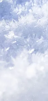 Close-up of frosty ice texture, capturing a serene winter scene.