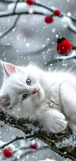 White kitten on snowy branch with red berries.