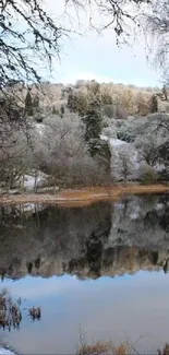 Snowy trees and a calm lake reflecting a winter sky.