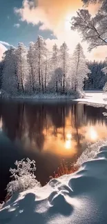 Snow-covered trees reflected on a winter lake at sunset.