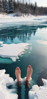 Serene winter lake with snowy trees and ice.