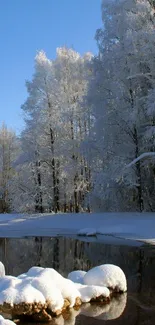 Serene winter forest with snowy reflection.