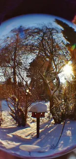 Winter landscape viewed through a lensball with snow and sunlight.