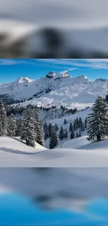 Snowy mountain landscape with trees and blue sky.