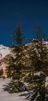 Snowy trees under a starry sky on a winter mountain night.