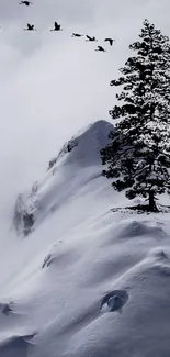 Snowy mountain peak with a tree and birds flying in mist.