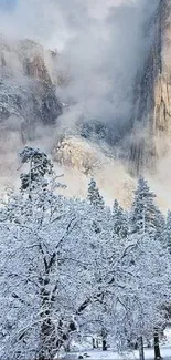 Snowy mountain landscape with frosted trees and misty peaks in winter.