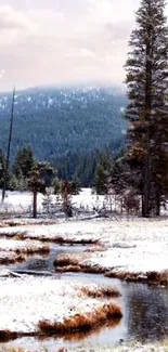 Serene snowy mountain scene with stream and trees.