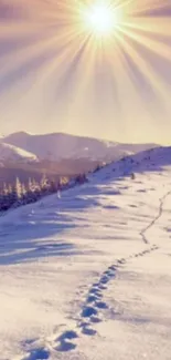 Snowy mountain landscape with sun rays.