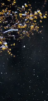 Snowy night with yellow blossoms on dark blue background.