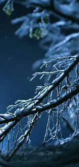 Snowy branches at night with a serene, dark blue background.