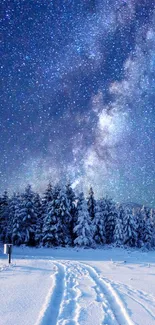 Starry galaxy above a snowy winter forest, creating a serene night scene.