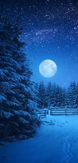 Moonlit winter forest under starry sky.