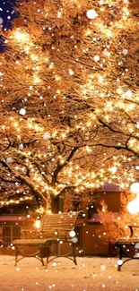 Magical snow-covered trees with glowing lights on a winter night.