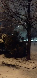 Snowy park at night with tree and streetlight glow.