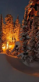 Snowy forest at night with a golden glow.