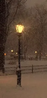 Snow falling gently around a glowing streetlamp in a quiet park at night.