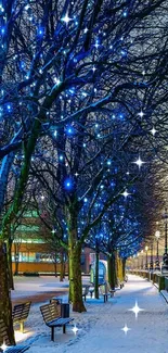 Snowy pathway with blue lights on trees in winter night.