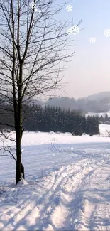 Serene winter path through snowy landscape with bare trees.