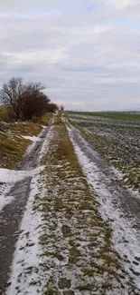 Scenic winter path with light snow on countryside road.