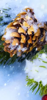 Snow-covered pine cone on green branches.