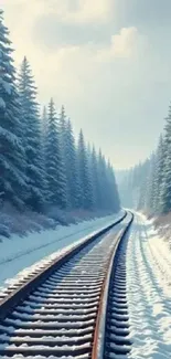 Snowy railway track through a winter forest.