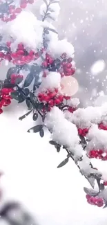 Snow-covered red berries on a branch with a winter background.