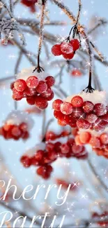 Snow-covered red berries on frosty branches with a light blue background.