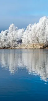 Snowy trees and lake reflection under blue sky