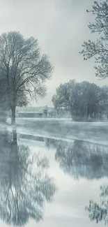 Serene winter landscape with trees reflected in a calm river, perfect for phone wallpaper.