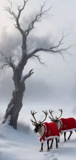 Reindeer in festive attire by icy tree in winter landscape.