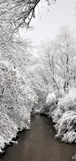 Serene winter river with snow-covered trees.