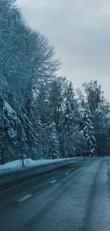 A serene winter road through snow-covered trees, perfect for a mobile wallpaper.