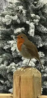 Robin perched on post in snowy forest scene.