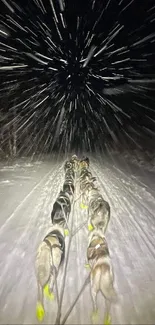 Sled dogs racing through snowy path at night under a dynamic sky.