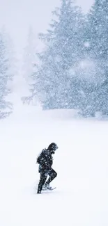 Hiker in snowy winter forest wallpaper showcasing serene beauty.