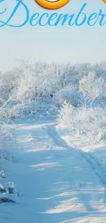 Winter Snow Precipitation Live Wallpaper